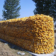 圈玉米电焊网(图2)